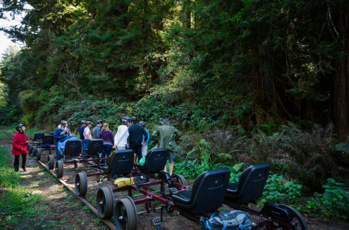 A group of people in helmets stands beside a rail bike setup in a lush, green forest.