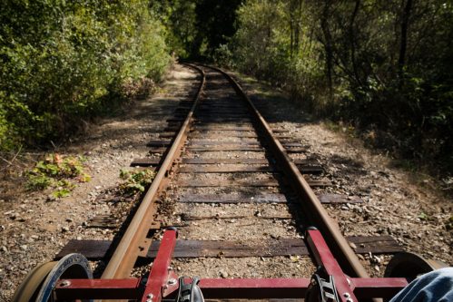 View from a rail cart on a narrow, overgrown railway track surrounded by trees and greenery.