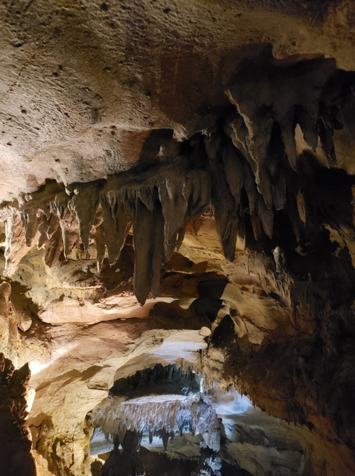 Stalactites hang from a rocky cave ceiling, illuminated by soft light, showcasing natural formations and textures.