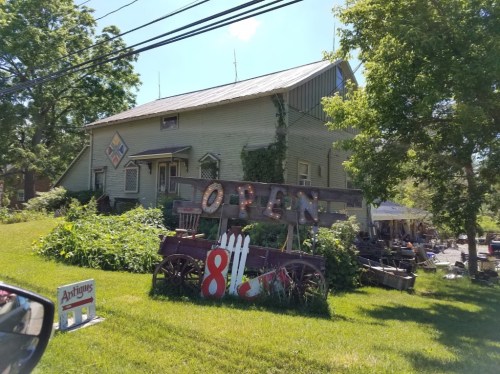 A green building with an "OPEN" sign and outdoor seating, surrounded by greenery on a sunny day.