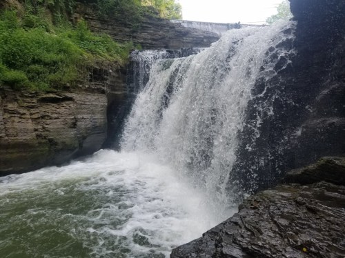 A cascading waterfall flows over rocky cliffs into a serene pool, surrounded by lush greenery.