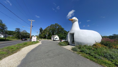 A large white duck-shaped building beside a road, surrounded by greenery and blue sky.
