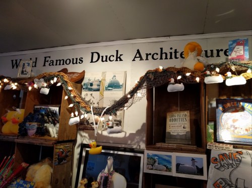 A whimsical display featuring duck-themed decor, lights, and books in a cozy shop setting.