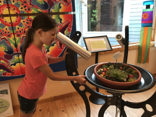 A girl looks through a metal tube at a colorful display featuring a pot of succulents and vibrant artwork.