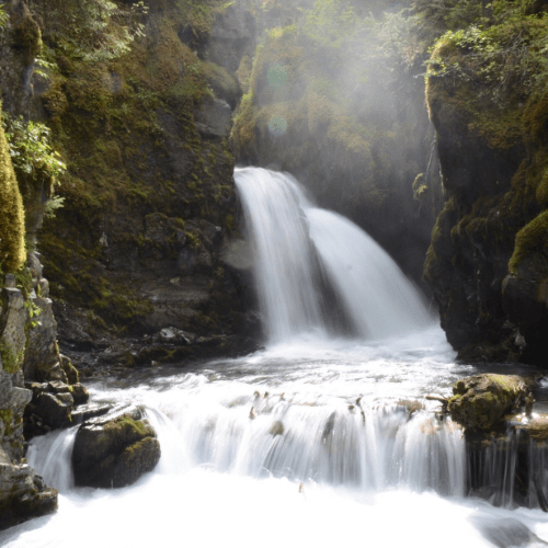 A serene waterfall cascades over rocks into a misty pool, surrounded by lush greenery.