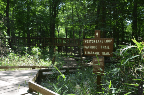 A wooden signpost in a lush green forest, indicating trails: Weston Lake Loop, Oakridge Trail, and Kingsnake Trail.