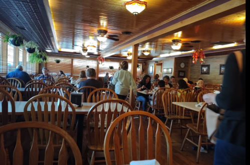 A busy restaurant interior with wooden chairs and tables, featuring diners enjoying their meals and plants hanging from the ceiling.