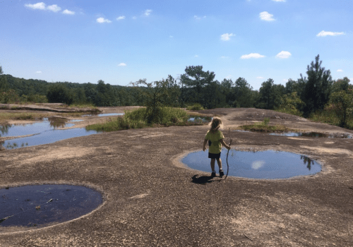 A child walks on rocky terrain with puddles, surrounded by trees and a clear blue sky.
