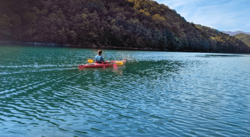 A person kayaking on a calm lake surrounded by lush green trees and mountains under a clear blue sky.