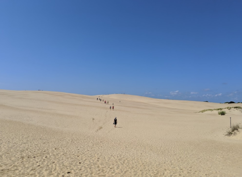 A vast sandy desert under a clear blue sky, with a line of people walking in the distance.