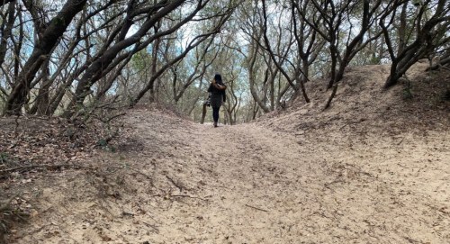 A person walks along a sandy path surrounded by trees in a wooded area.