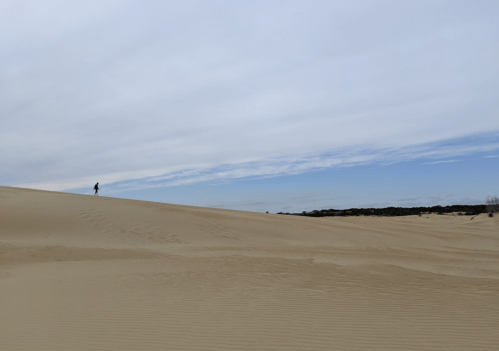 A lone figure walks along a sandy dune under a cloudy sky, with a vast landscape stretching out in the background.