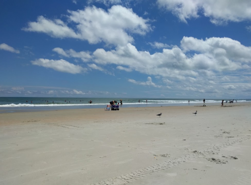 A sunny beach scene with people enjoying the water, soft waves, and scattered clouds in a blue sky.