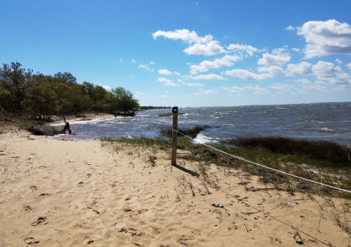 A sandy beach with a wooden post, waves lapping at the shore, and trees in the background under a blue sky with clouds.
