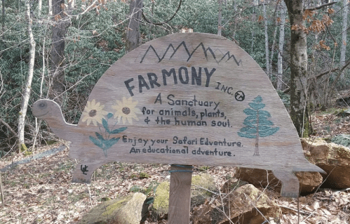 A wooden sign shaped like a turtle, reading "FARMONY Inc. A Sanctuary for animals, plants, and the human soul."