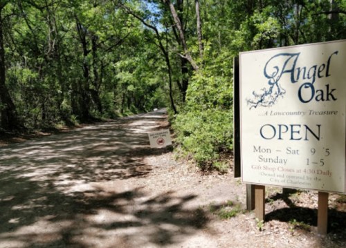 Sign for Angel Oak, a Lowcountry attraction, with opening hours, surrounded by lush greenery along a dirt road.