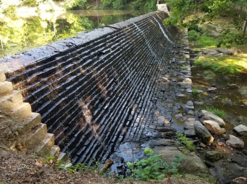 A stone dam with cascading water, surrounded by greenery and rocks, reflecting in a calm pond.