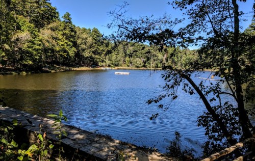A serene lake surrounded by trees, with a small dock visible on the water under a clear blue sky.