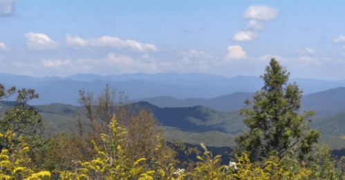 A scenic view of layered mountains under a blue sky, with vibrant yellow flowers in the foreground.