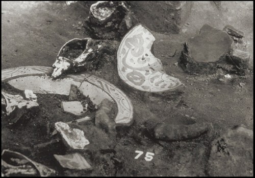 Archaeological site with broken pottery shards and artifacts scattered on the ground, labeled with the number 75.