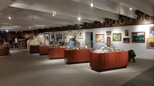 Interior of a gallery featuring display cases with artifacts, artwork on the walls, and a spacious layout.