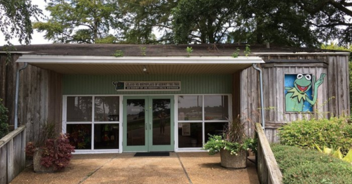 A wooden building with a green sign and a Kermit the Frog mural on the side, surrounded by plants.