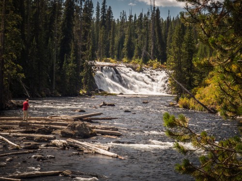 A person stands by a river with a waterfall surrounded by lush green trees and logs along the water's edge.