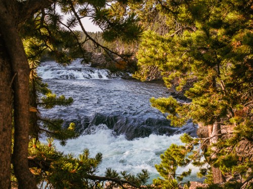A serene river flows through a rocky landscape, framed by lush green trees and gentle waves.