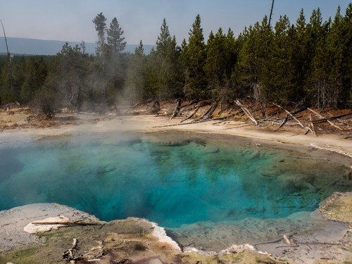 A vibrant blue hot spring surrounded by trees and steam in a natural landscape.
