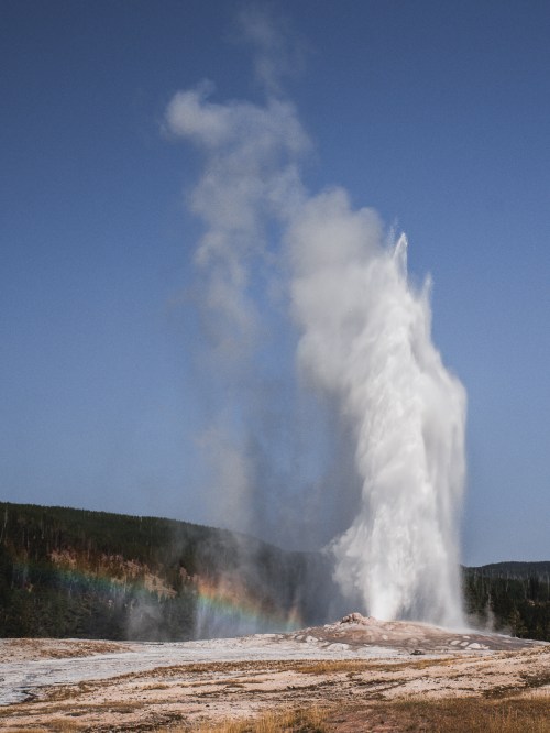 Old Faithful geyser erupts, sending a plume of steam and water into the blue sky, with a faint rainbow in the background.