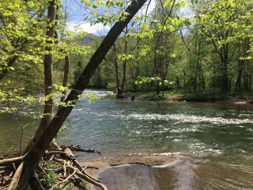 A serene river flows through a lush green forest, with trees lining the banks and sunlight filtering through the leaves.