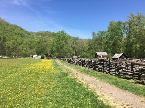 A dirt path lined with a wooden fence, leading through a grassy field with wildflowers and trees in the background.