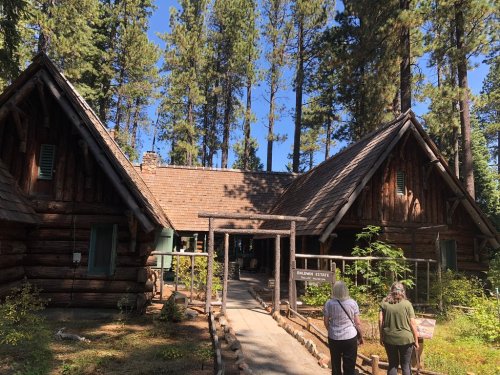 Two people walk towards a rustic log cabin surrounded by tall trees on a sunny day.