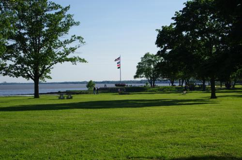 A serene park scene with green grass, trees, and a flagpole by the water under a clear blue sky.