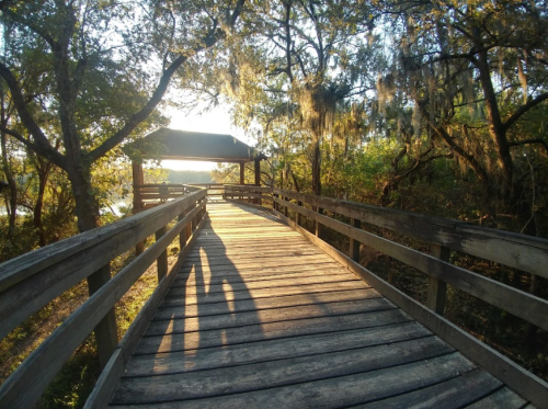A wooden boardwalk leads to a gazebo, surrounded by trees and sunlight filtering through Spanish moss.