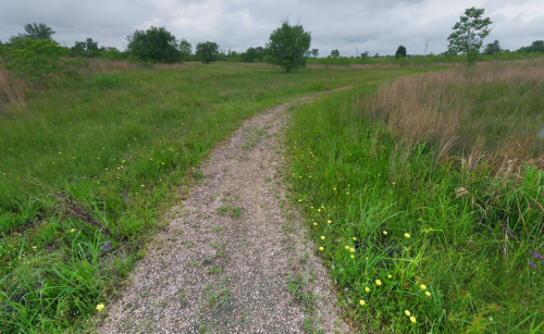 A winding gravel path through a grassy field with wildflowers and scattered trees under a cloudy sky.