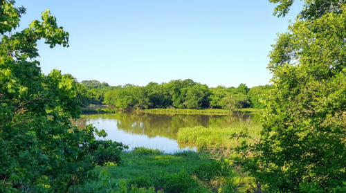 A serene landscape featuring a calm river surrounded by lush green trees and grass under a clear blue sky.