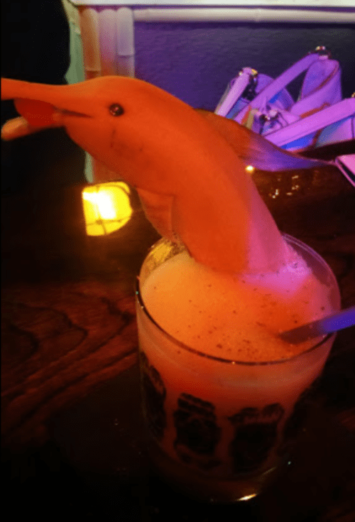 A whimsical drink with a dolphin-shaped garnish emerging from a frothy glass on a wooden table.