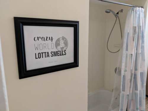 A framed quote reading "Crazy World Lotta Smells" hangs on a bathroom wall near a shower with a curtain.