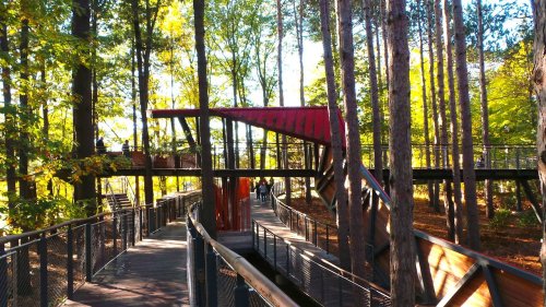 A wooden walkway winds through a forest, leading to a modern structure with a red roof amidst tall trees.