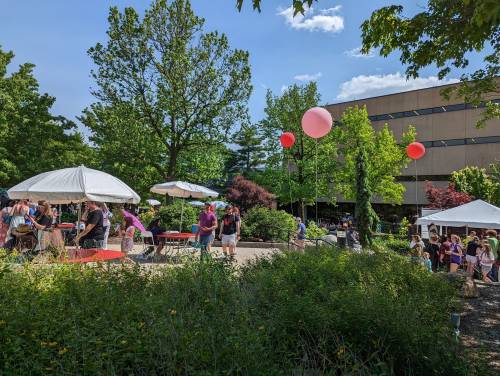 A lively outdoor event with people mingling under umbrellas, surrounded by greenery and colorful balloons.