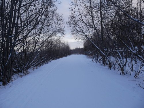 A snow-covered path flanked by bare trees, leading into a serene winter landscape under a cloudy sky.