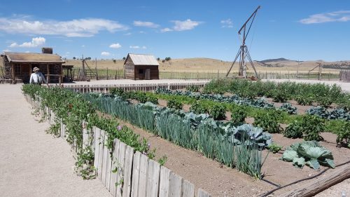 A rustic garden with rows of vegetables, a wooden fence, and a historic building under a clear blue sky.