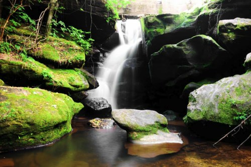 A serene waterfall cascades over moss-covered rocks, surrounded by lush greenery and a calm pool below.