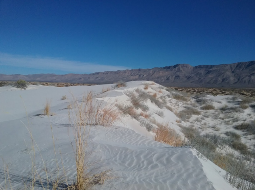 A sandy desert landscape with gentle dunes, sparse vegetation, and distant mountains under a clear blue sky.