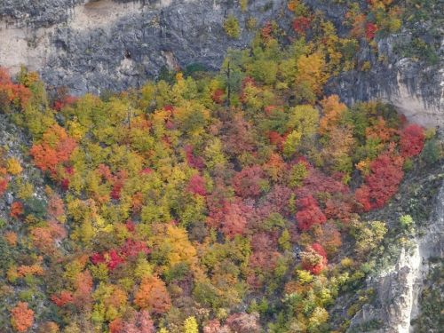 Vibrant autumn foliage in shades of red, orange, and yellow covering a rocky hillside.