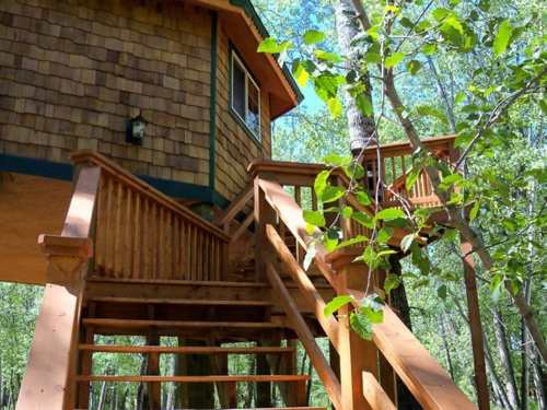 A wooden treehouse with a shingled exterior, featuring stairs and surrounded by lush green trees.