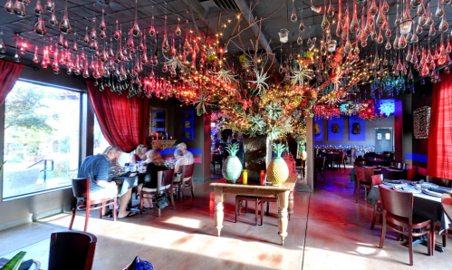 A vibrant restaurant interior with colorful lights, decorative plants, and a cozy dining area.