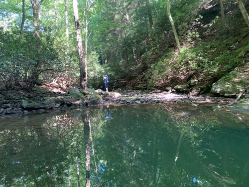 A person stands by a serene stream surrounded by lush green trees, with reflections in the water.
