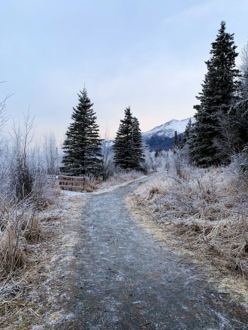 A frosty path winds through a winter landscape with evergreen trees and mountains in the background.